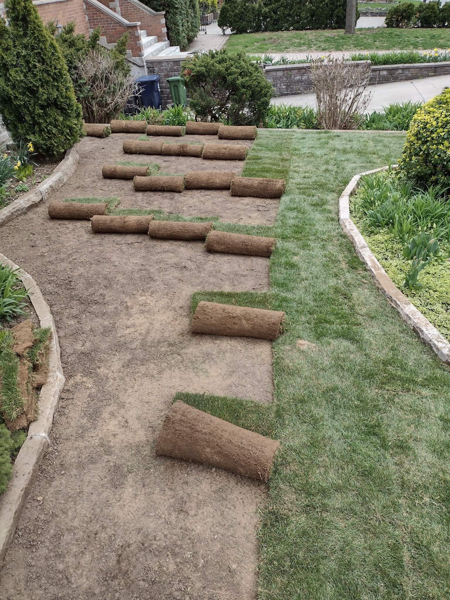 Before SOD Application Before Applying SOD