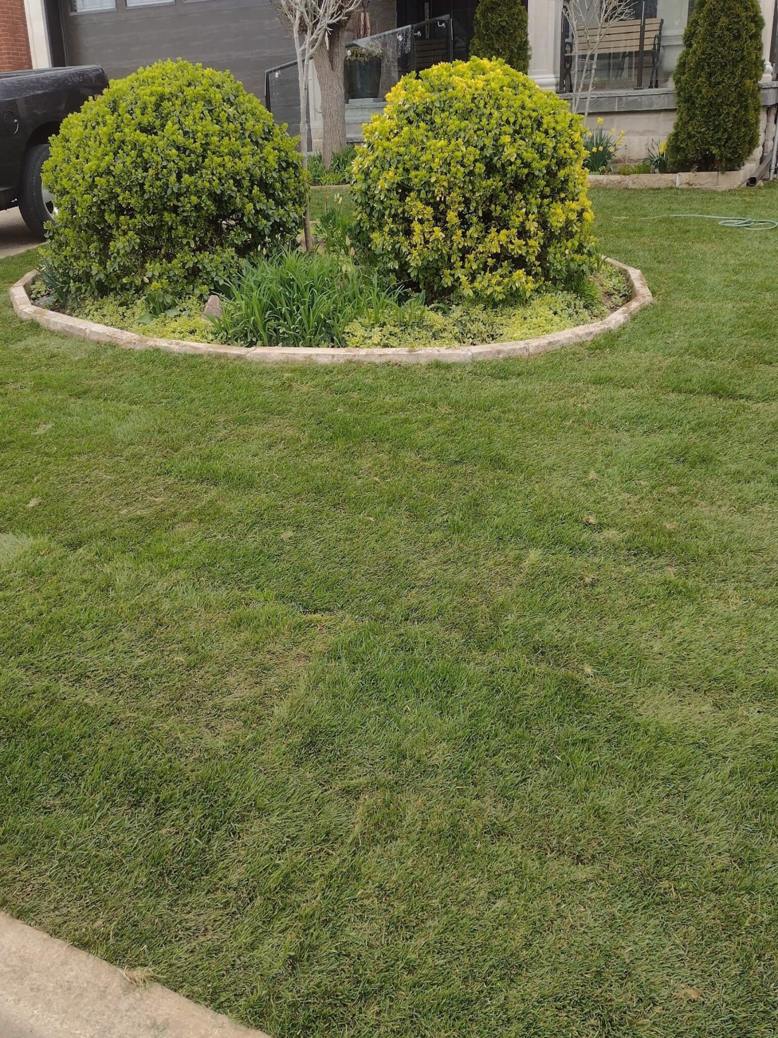 After SOD Application After Applying SOD